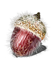 Thumbnail for version as of 17:06, 16 October 2026
