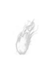 Thumbnail for version as of 17:06, 16 October 2026