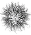 Thumbnail for version as of 17:06, 16 October 2026