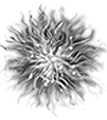 Thumbnail for version as of 17:06, 16 October 2026