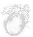 Thumbnail for version as of 17:06, 16 October 2026