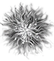 Thumbnail for version as of 17:06, 16 October 2026