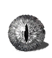 Thumbnail for version as of 17:06, 16 October 2026