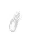 Thumbnail for version as of 17:06, 16 October 2026