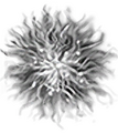 Thumbnail for version as of 17:06, 16 October 2026