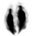 Thumbnail for version as of 17:06, 16 October 2026