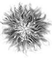 Thumbnail for version as of 17:06, 16 October 2026