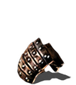 Thumbnail for version as of 17:06, 16 October 2026