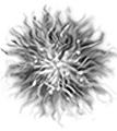 Thumbnail for version as of 17:06, 16 October 2026
