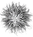 Thumbnail for version as of 17:06, 16 October 2026