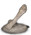 Thumbnail for version as of 17:06, 16 October 2026
