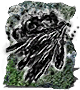 Dark Bead inventory icon