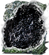Dark Fog inventory icon
