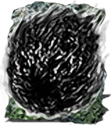 Dark Orb inventory icon
