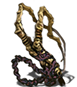 Dried Finger inventory icon