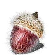 Egg Vermifuge inventory icon
