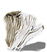 Elizabeth's Mushroom inventory icon