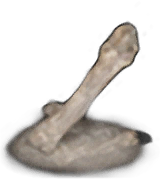 Homeward Bone inventory icon