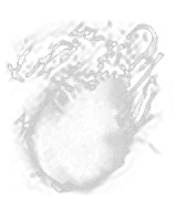 Large Soul of a Brave Warrior inventory icon