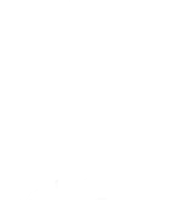 Miracle: Escape Death inventory icon