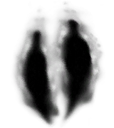 Twin Humanities inventory icon
